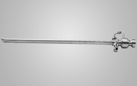 Mirror scabbard and closed 